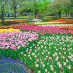 ４月１日から変更される厚生労働省関連の諸制度