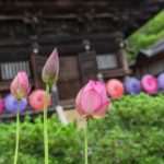 熱中症対策、６月１日から業種を問わず全ての企業に措置義務 – 熱中症対策その３