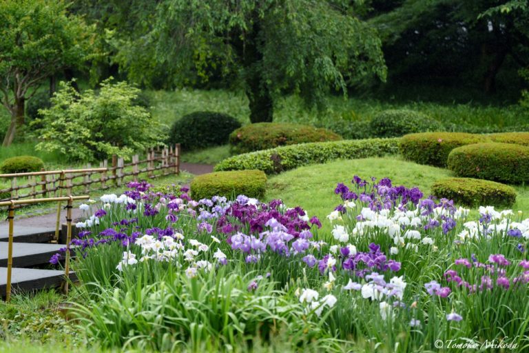 Supreme Court Rules that Reassignment Without Consent is Illegal in the Case of Duty Limitations